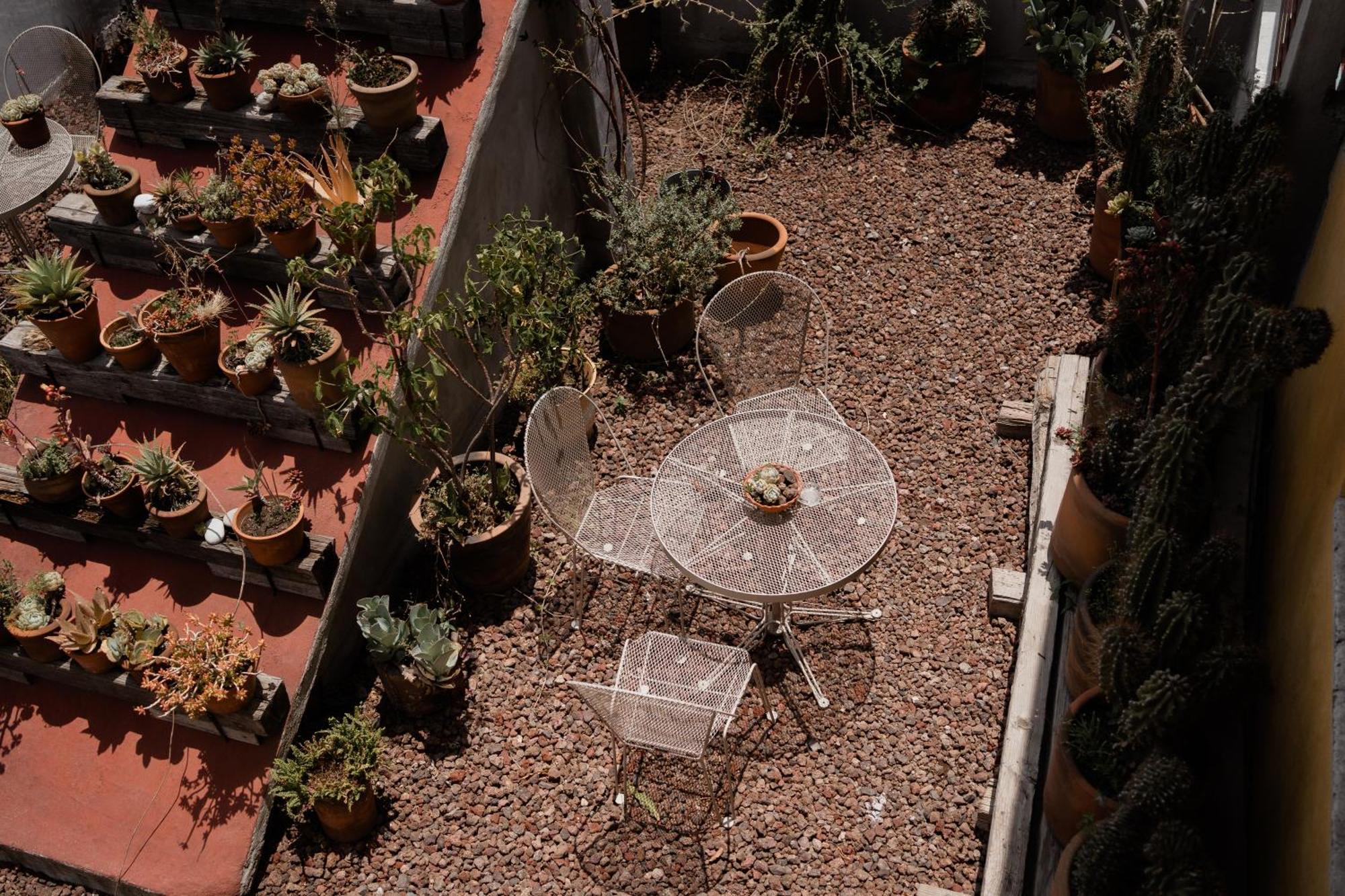 Casa Lomah Hotel - Mexico City