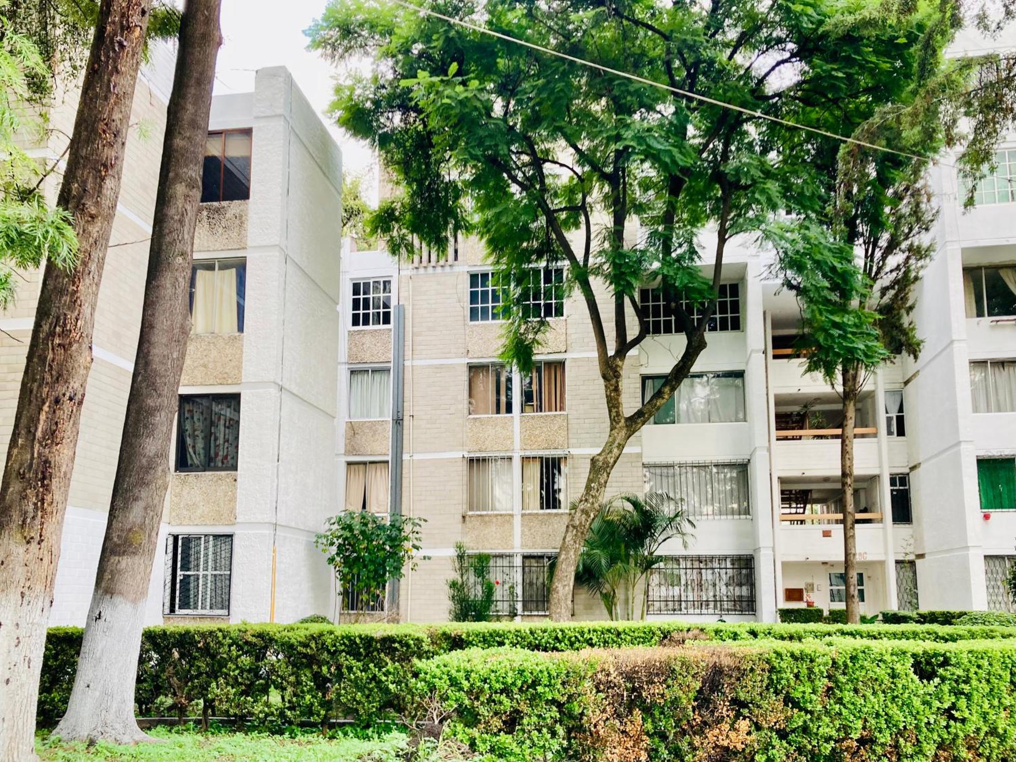 Rincon Coapa Casa De Huespedes Bed & Breakfast - Mexico City