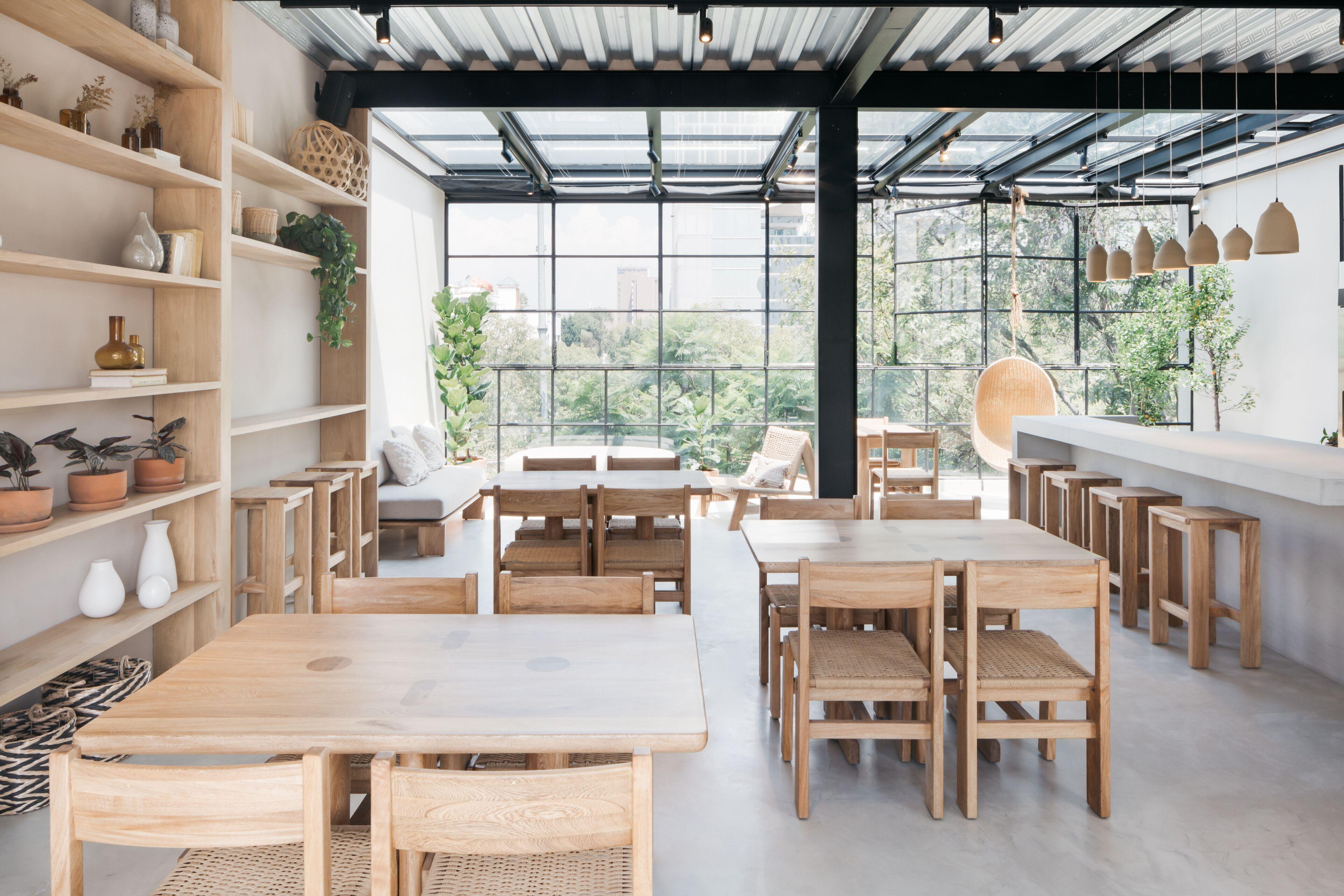 Casa Pancha Hostel - Mexico City