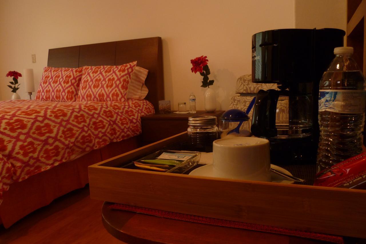 Casa La Luz B&B - Mexico City